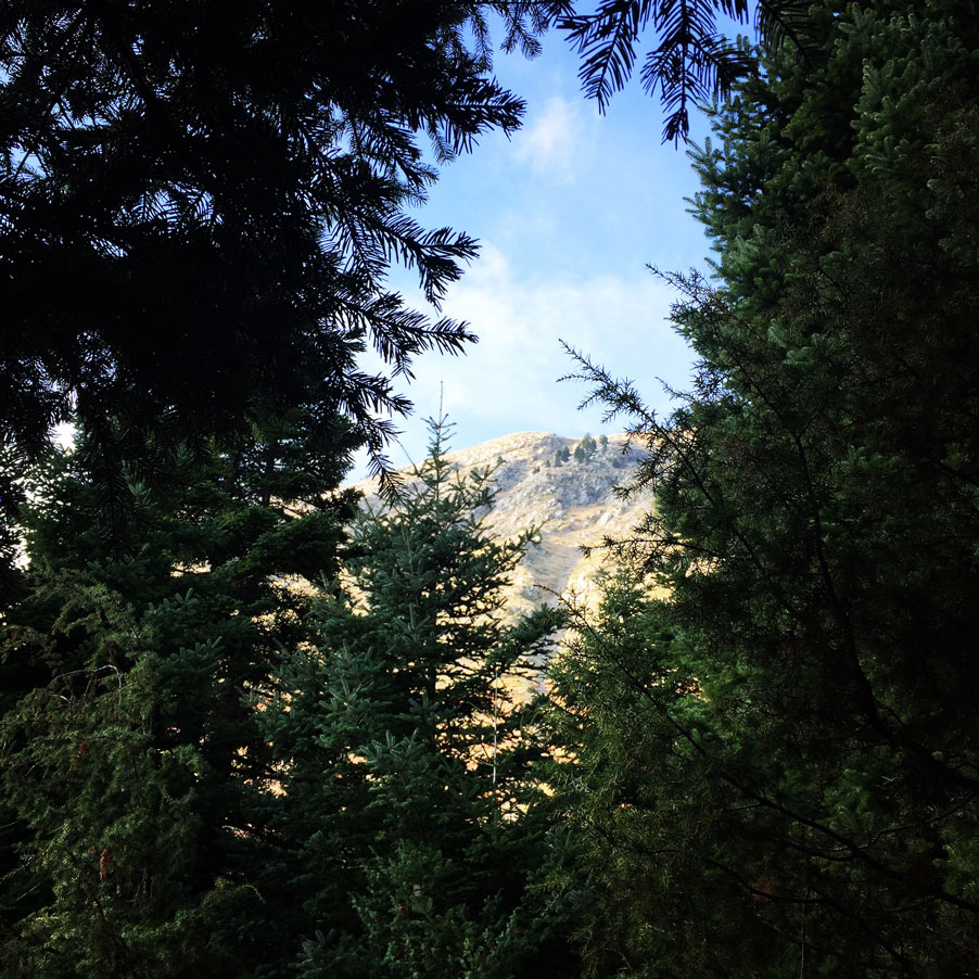 Agrafa_Svoni_Pouli_Papadimitri_Hiking_3447