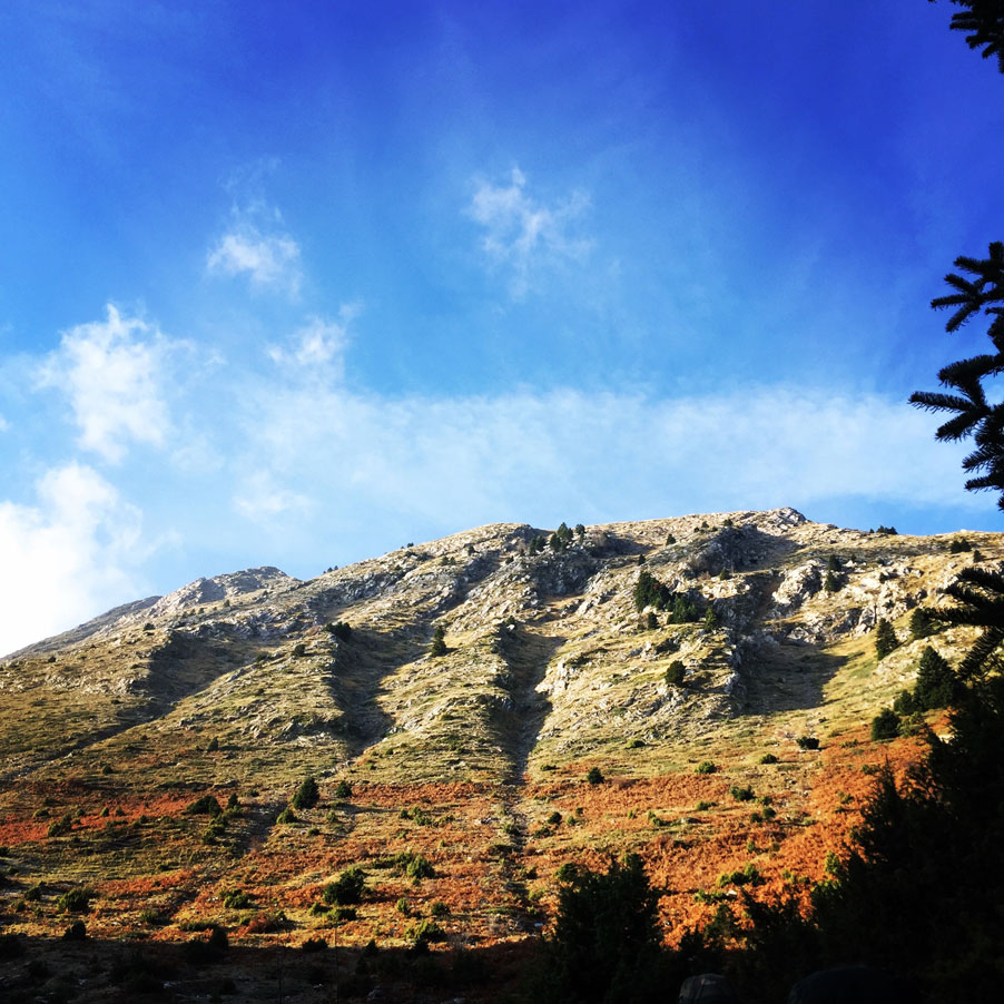 Agrafa_Svoni_Pouli_Papadimitri_Hiking_3448