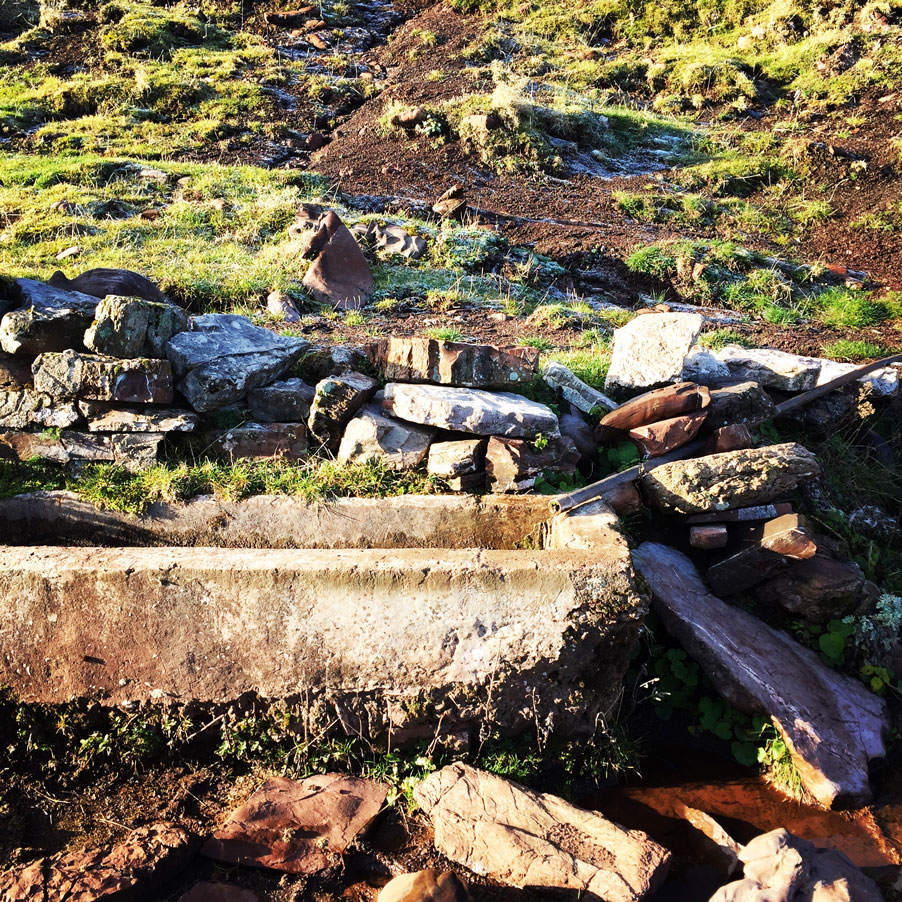 Agrafa_Svoni_Pouli_Papadimitri_Hiking_3450