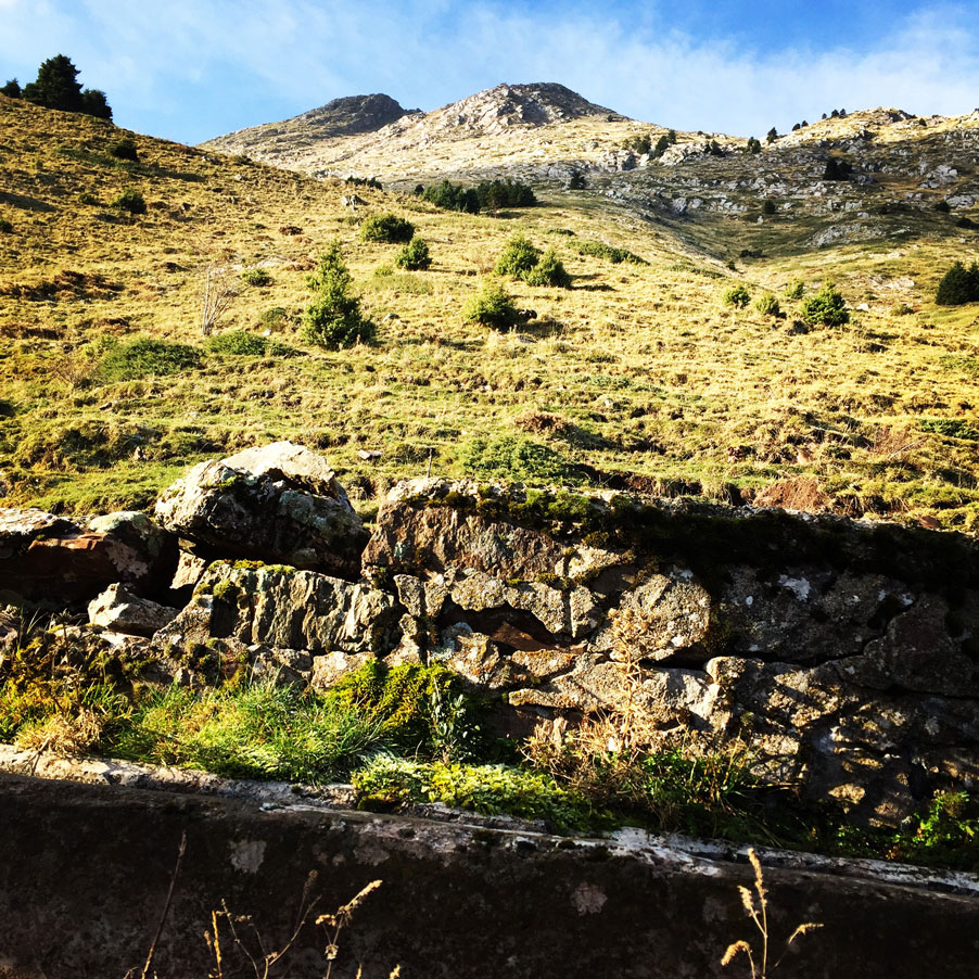 Agrafa_Svoni_Pouli_Papadimitri_Hiking_3451