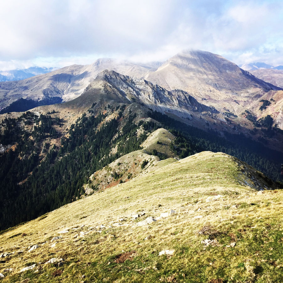 Agrafa_Svoni_Pouli_Papadimitri_Hiking_3459