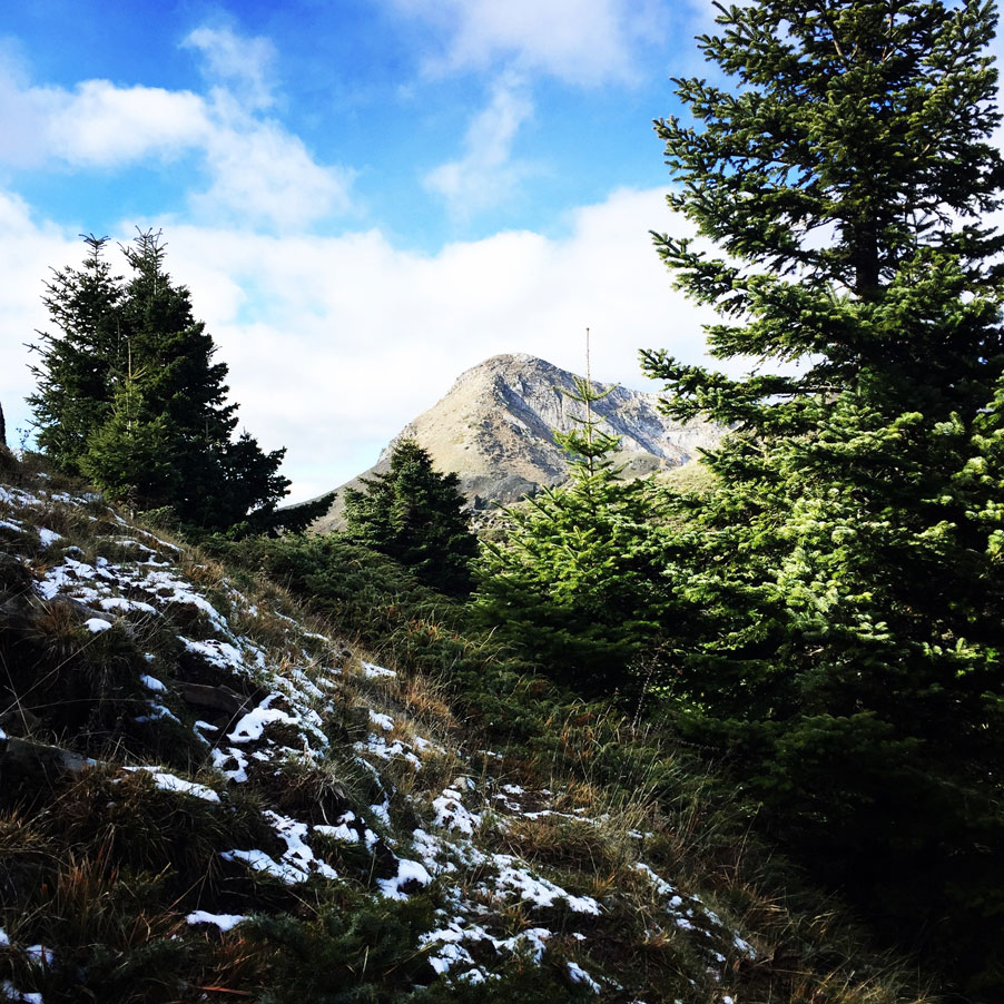 Agrafa_Svoni_Pouli_Papadimitri_Hiking_3461