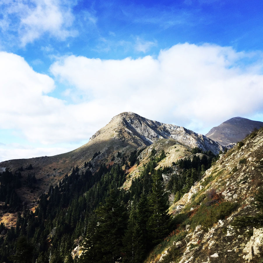 Agrafa_Svoni_Pouli_Papadimitri_Hiking_3462