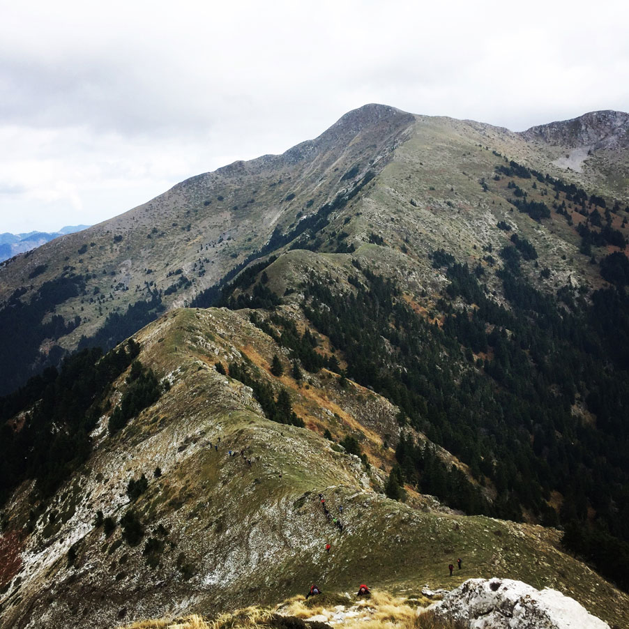 Agrafa_Svoni_Pouli_Papadimitri_Hiking_3464