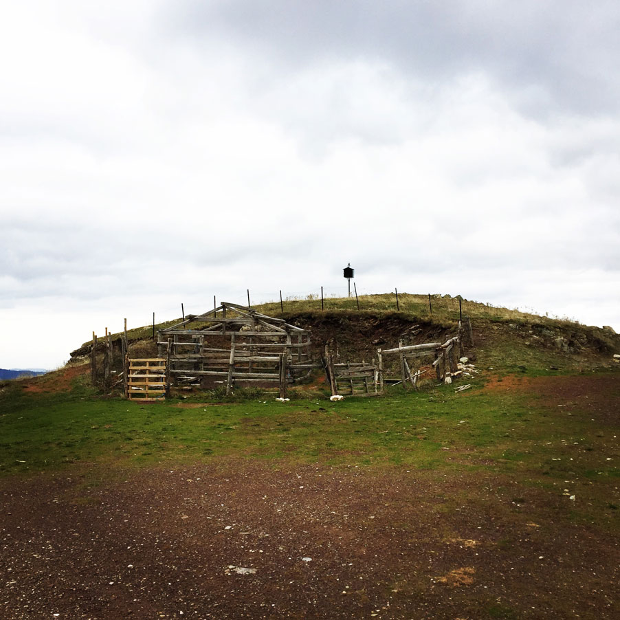 Agrafa_Svoni_Pouli_Papadimitri_Hiking_3479