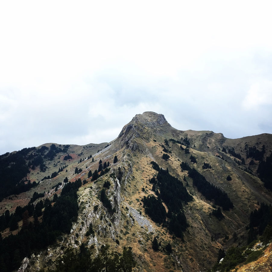 Agrafa_Svoni_Pouli_Papadimitri_Hiking_3480