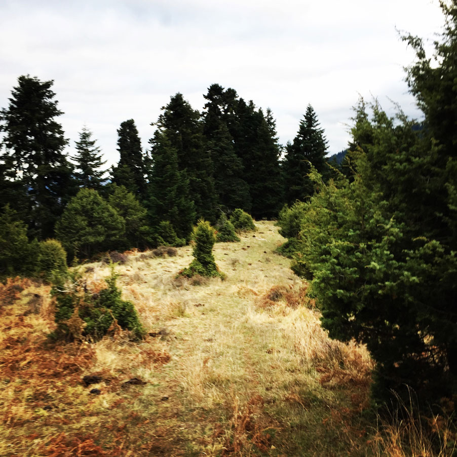 Agrafa_Svoni_Pouli_Papadimitri_Hiking_3481