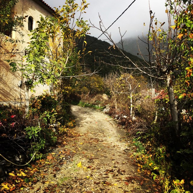 Skiathis_Mountain_Autumn_Ascent_2831