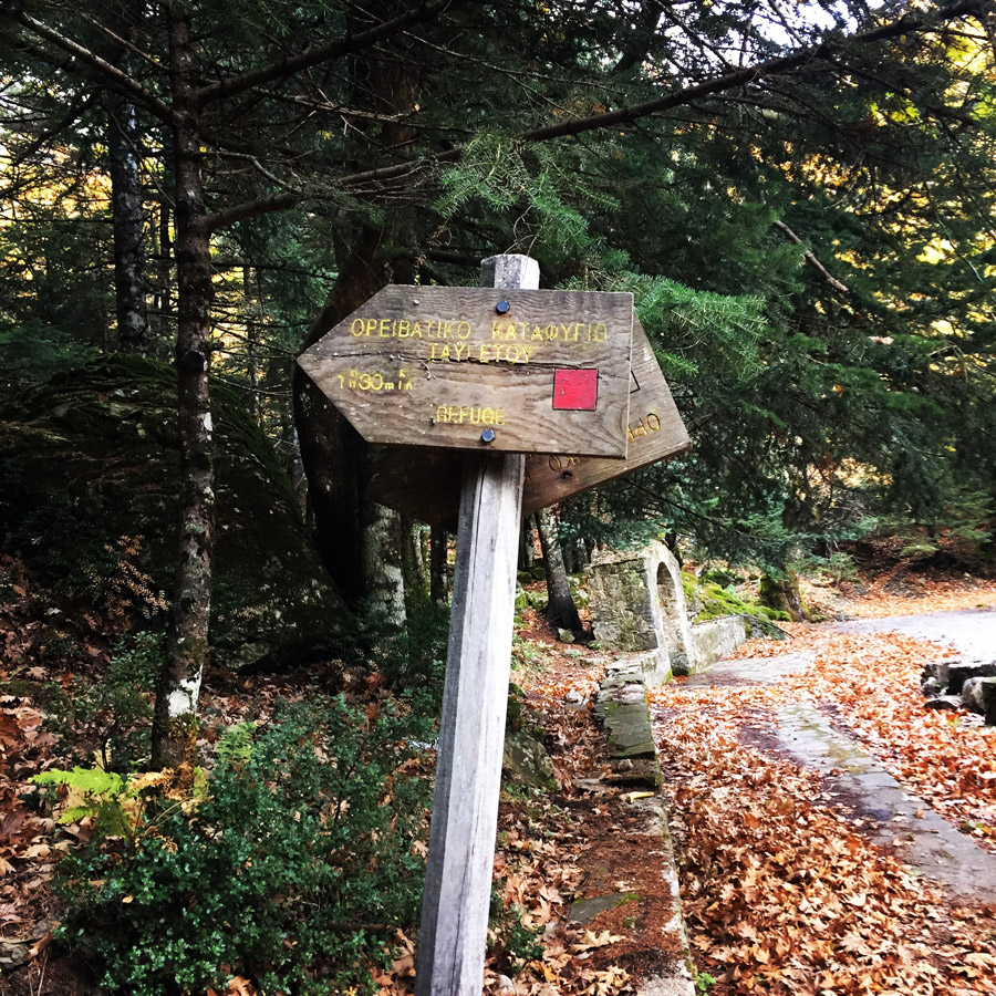 Taygetos_Taygetus_Mountain_Autumn_Ascent_2578