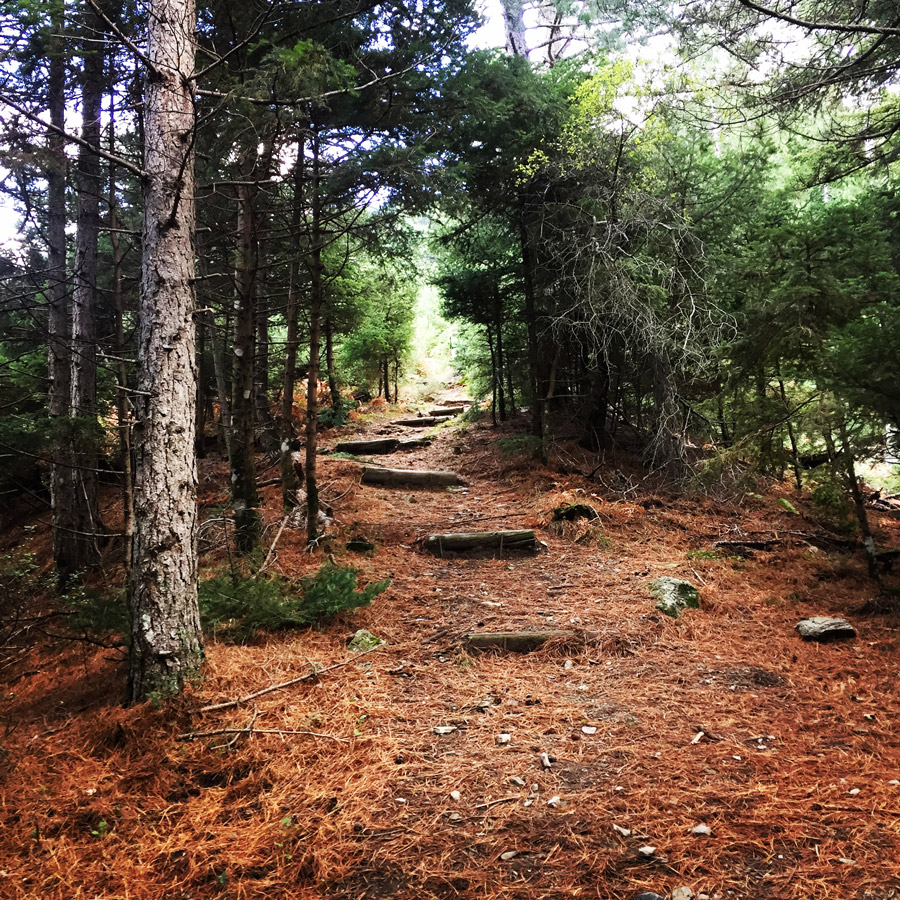 Taygetos_Taygetus_Mountain_Autumn_Ascent_2580