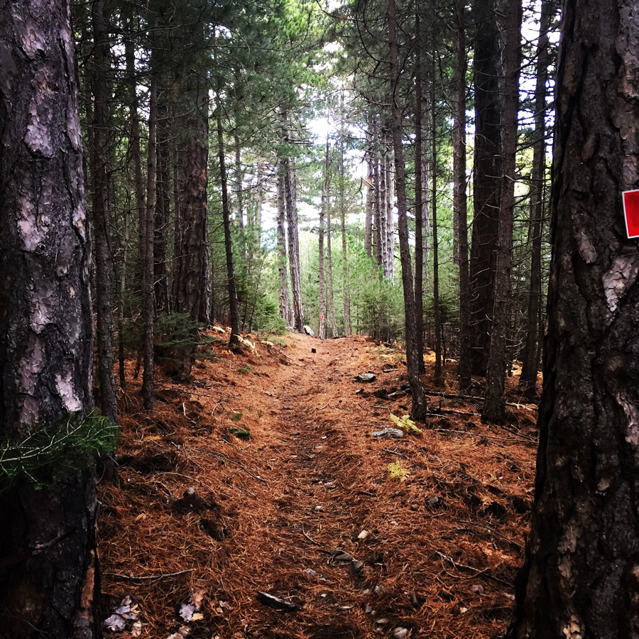 Taygetos_Taygetus_Mountain_Autumn_Ascent_2583