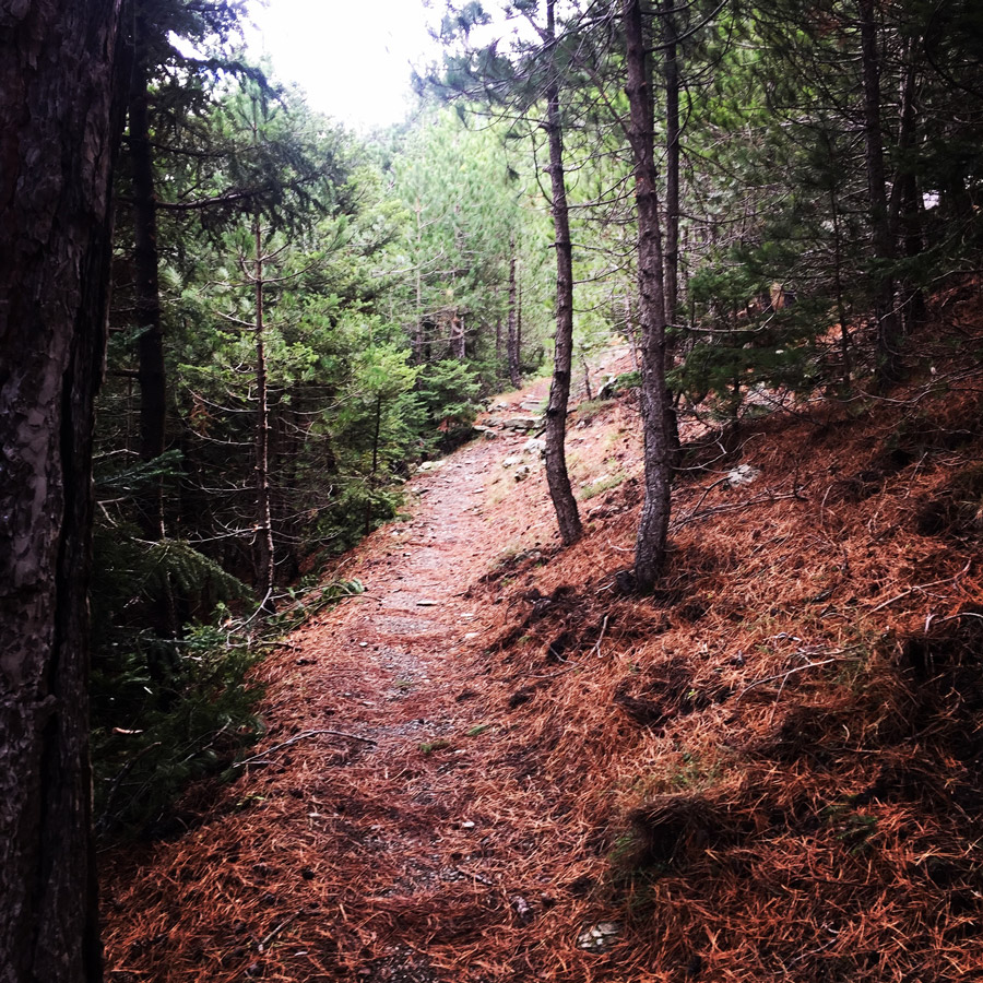 Taygetos_Taygetus_Mountain_Autumn_Ascent_2584