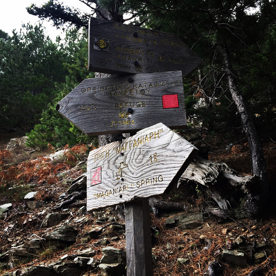 Taygetos_Taygetus_Mountain_Autumn_Ascent_2585