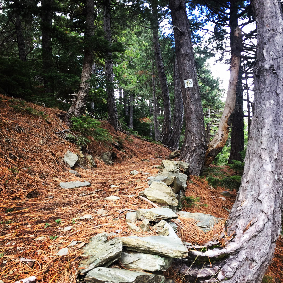 Taygetos_Taygetus_Mountain_Autumn_Ascent_2586