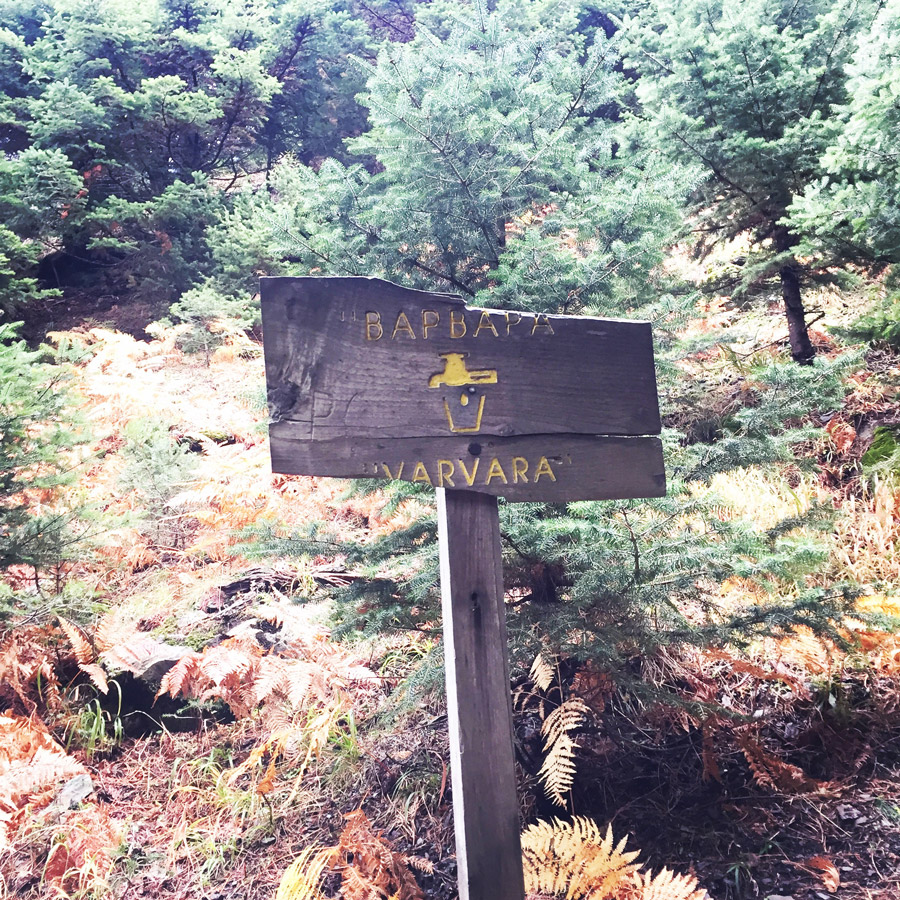 Taygetos_Taygetus_Mountain_Autumn_Ascent_2589