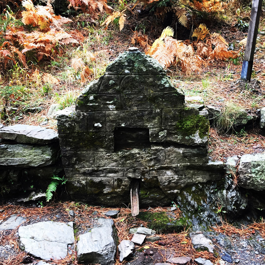 Taygetos_Taygetus_Mountain_Autumn_Ascent_2590