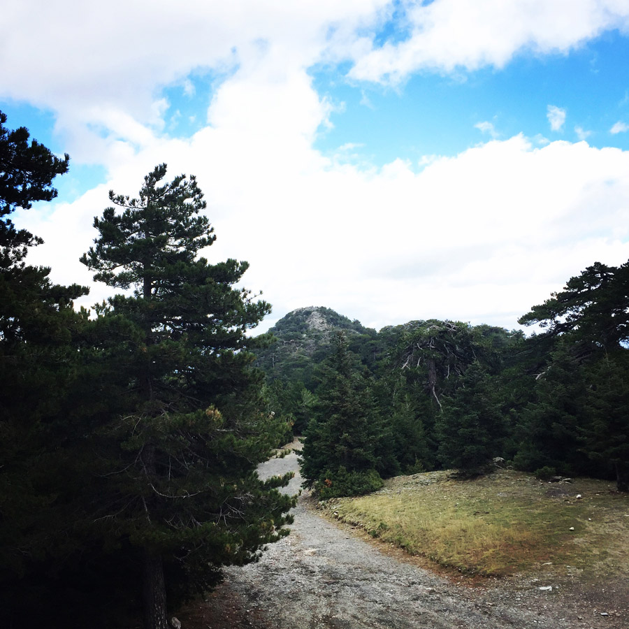 Taygetos_Taygetus_Mountain_Autumn_Ascent_2594