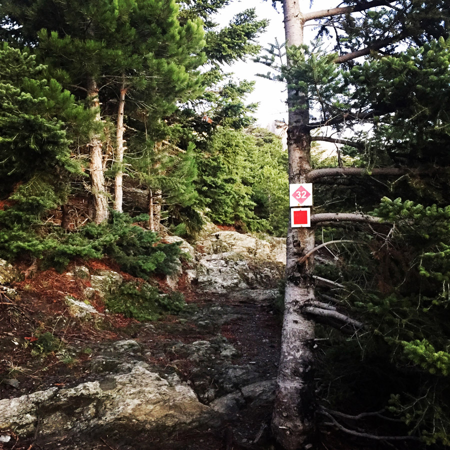 Taygetos_Taygetus_Mountain_Autumn_Ascent_2600