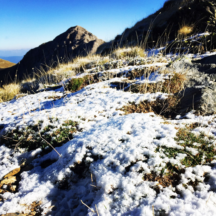 Taygetos_Taygetus_Mountain_Autumn_Ascent_2621