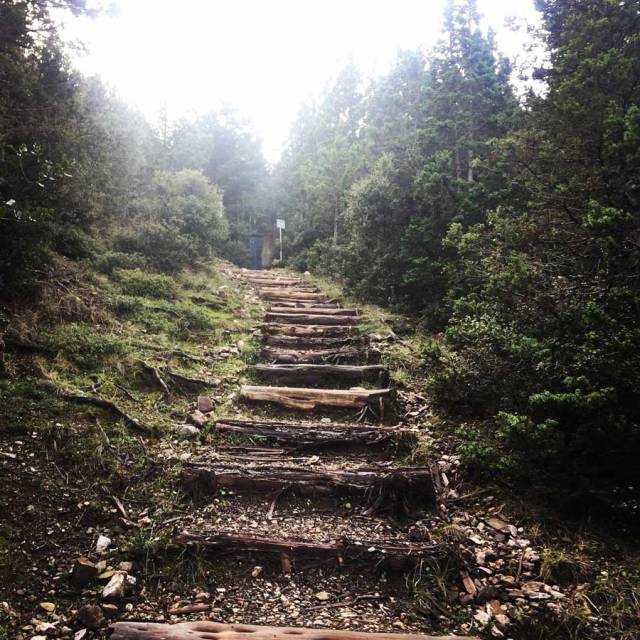 Parnonas_Mountain_Ascent3855