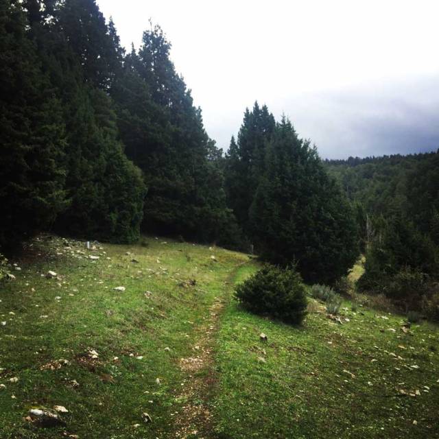 Parnonas_Mountain_Ascent3856