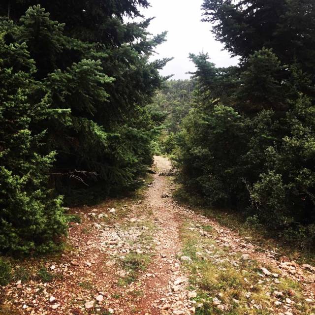 Parnonas_Mountain_Ascent3857