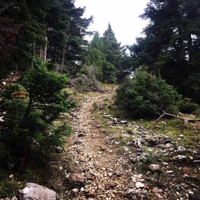 Parnonas_Mountain_Ascent3858