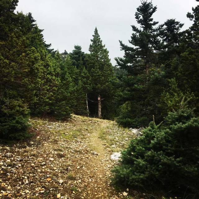 Parnonas_Mountain_Ascent3859