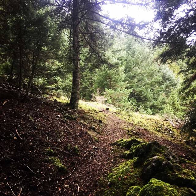 Parnonas_Mountain_Ascent3860