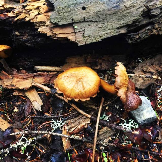 Parnonas_Mountain_Ascent3860_01