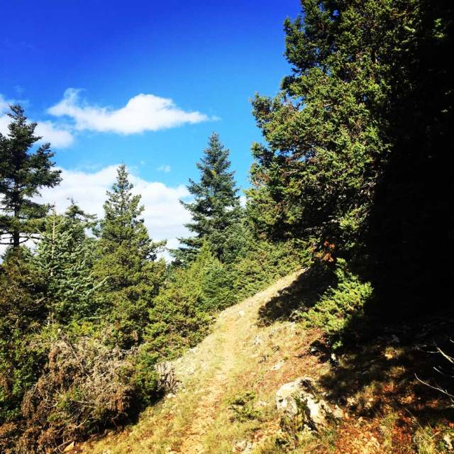 Parnonas_Mountain_Ascent3860_03