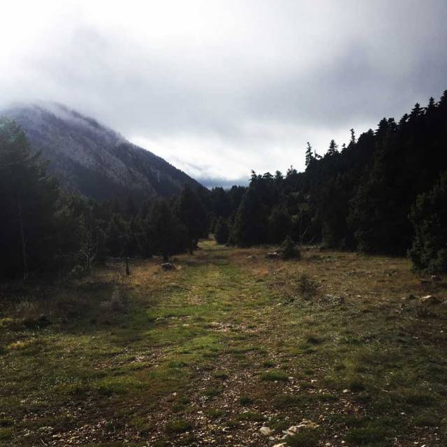 Parnonas_Mountain_Ascent3861