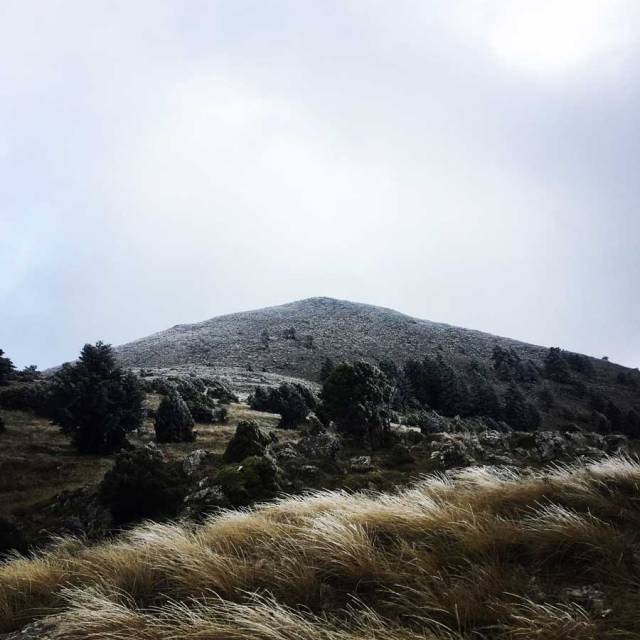 Parnonas_Mountain_Ascent3864