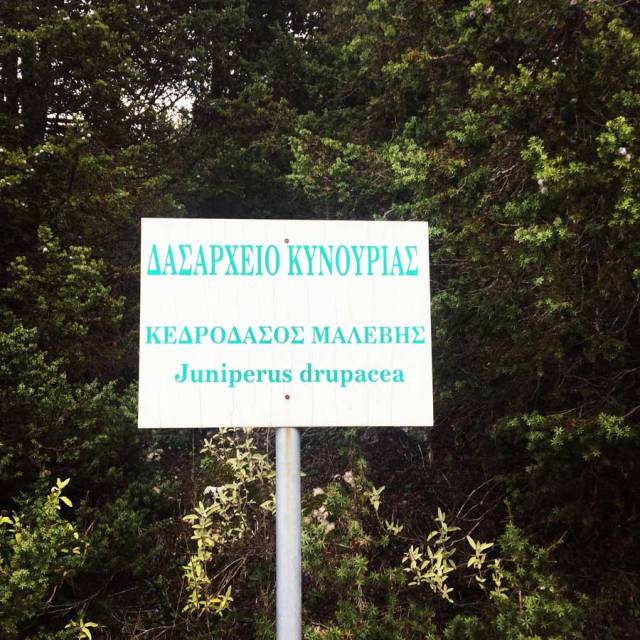 Parnonas_Mountain_Ascent_3882