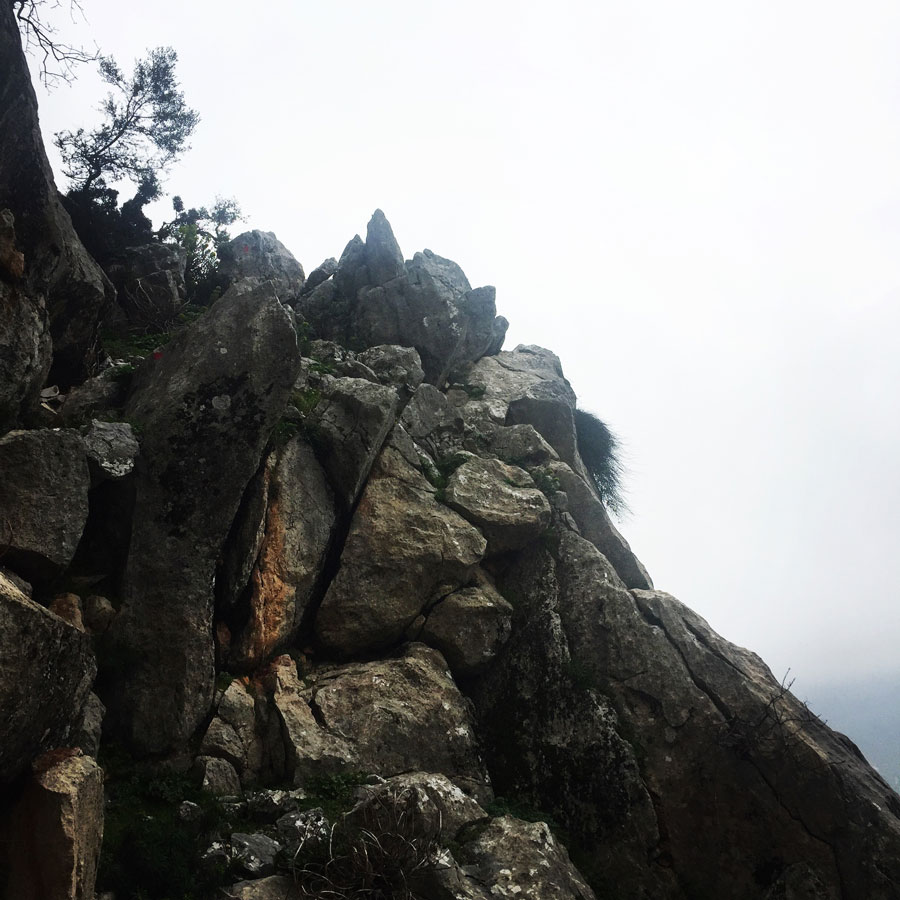 Parnitha_Arma-Via-Ferrata4557