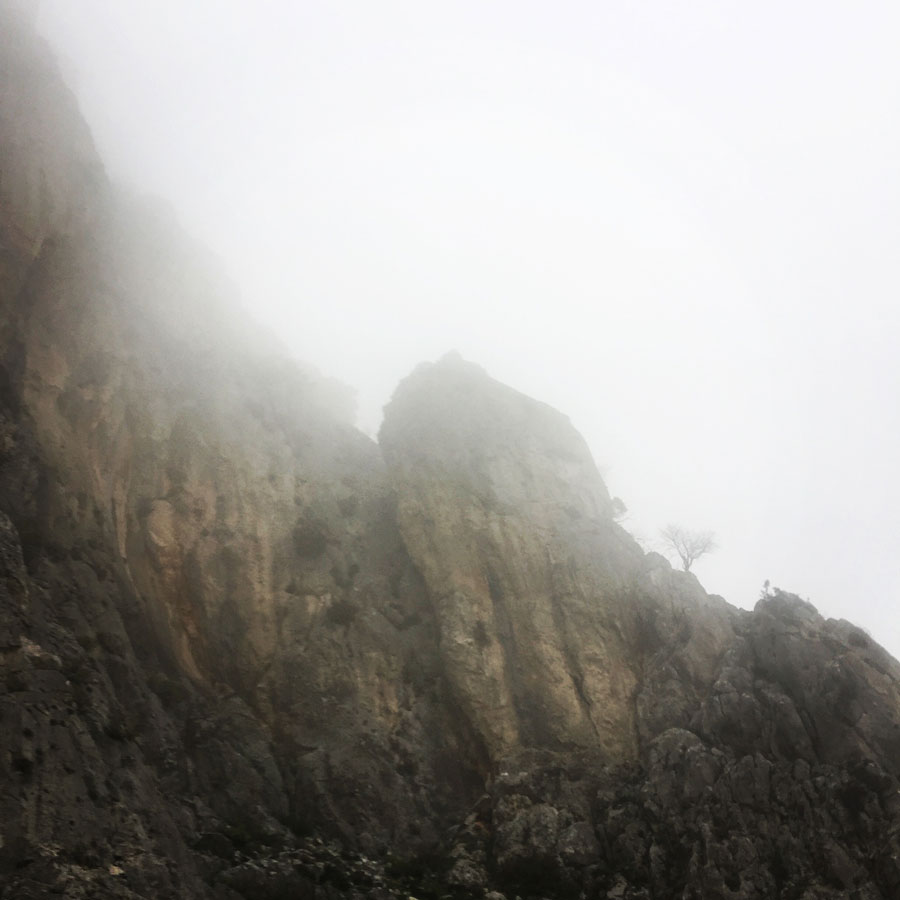 Parnitha_Arma-Via-Ferrata4559