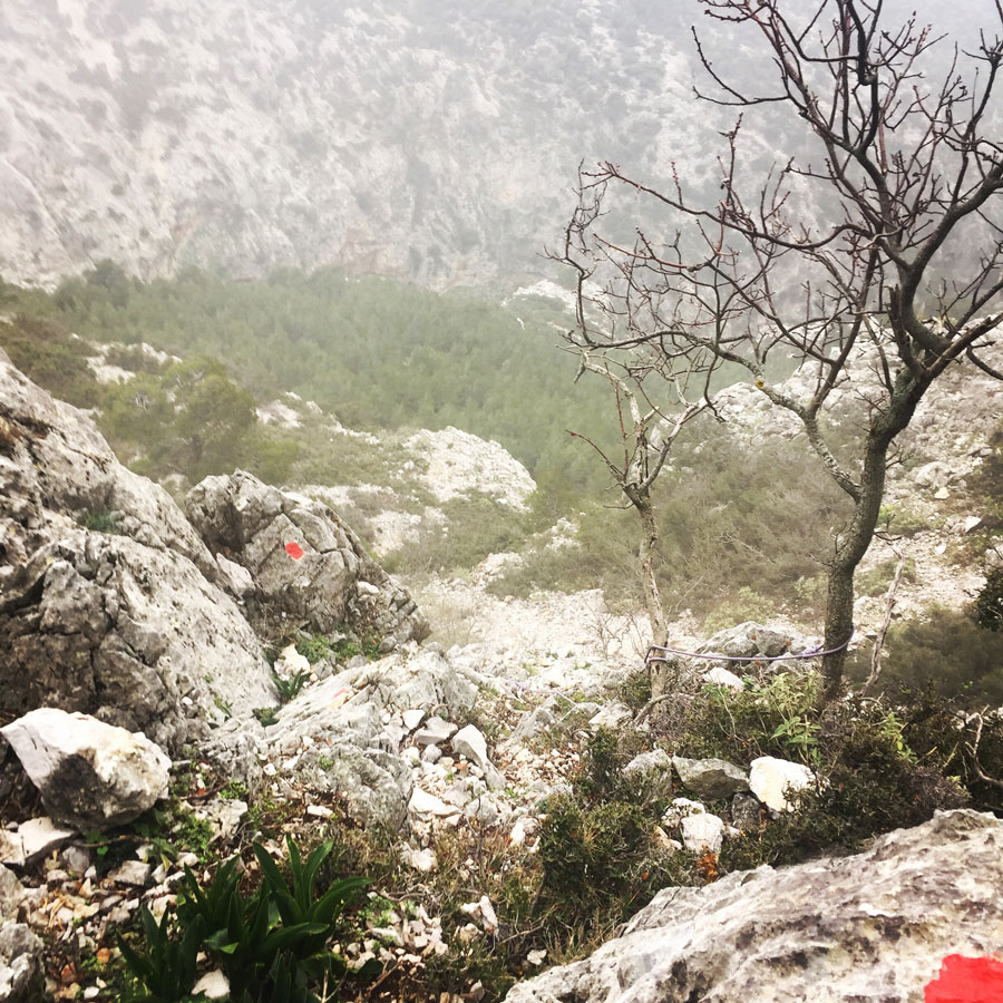 Parnitha_Arma-Via-Ferrata4566