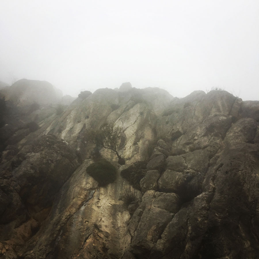 Parnitha_Arma-Via-Ferrata4568