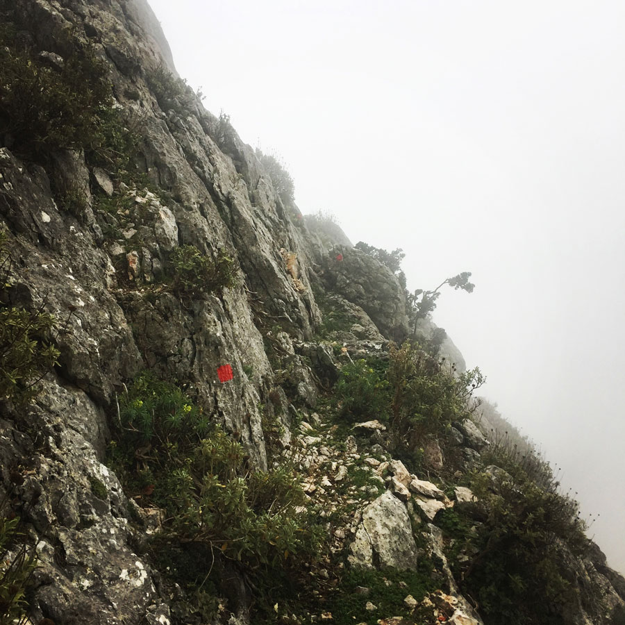 Parnitha_Arma-Via-Ferrata4569