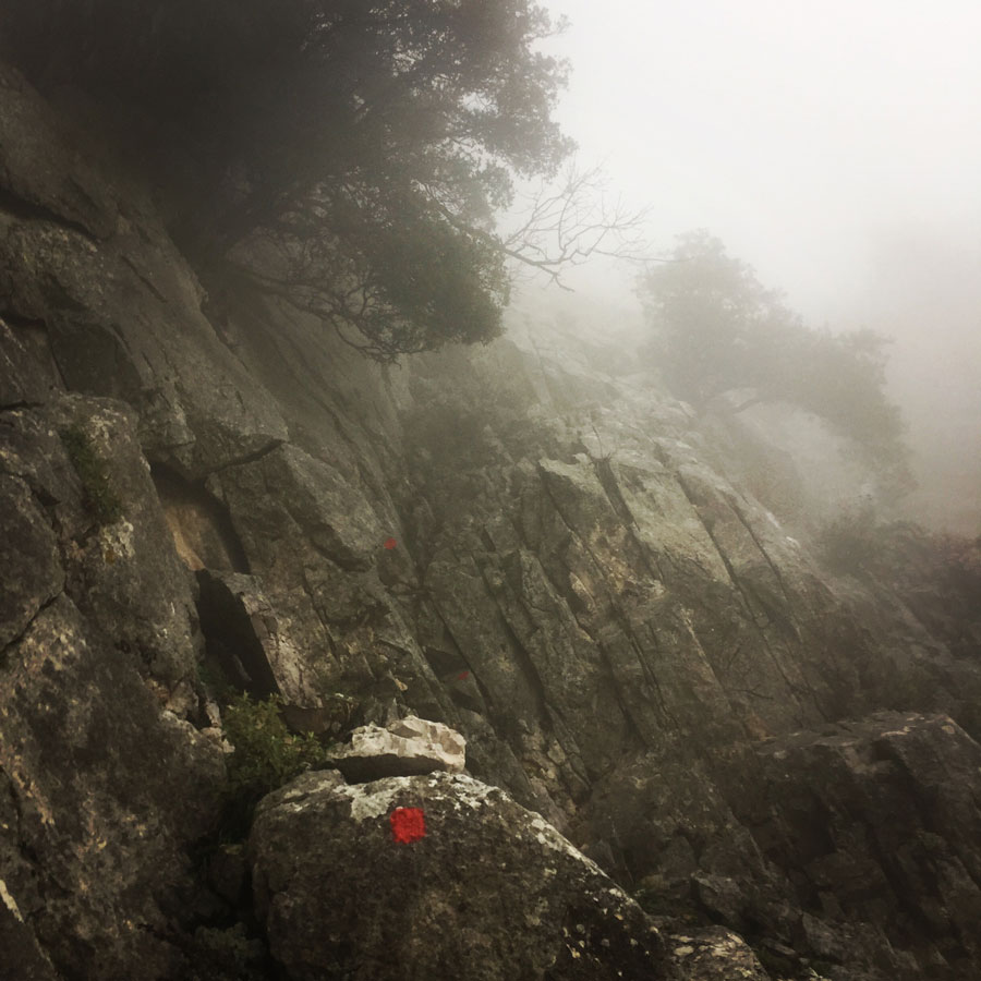 Parnitha_Arma-Via-Ferrata4572