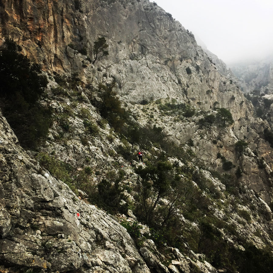 Parnitha_Arma-Via-Ferrata4579