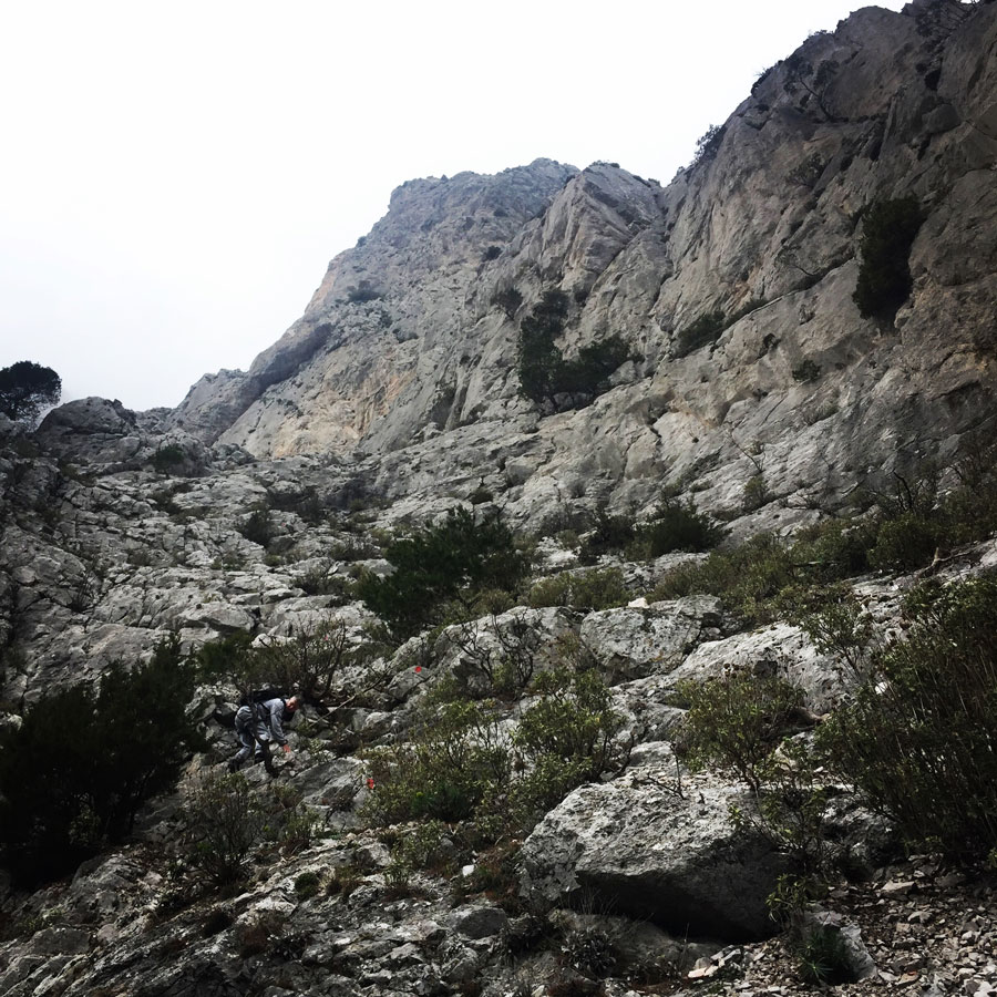 Parnitha_Arma-Via-Ferrata4582