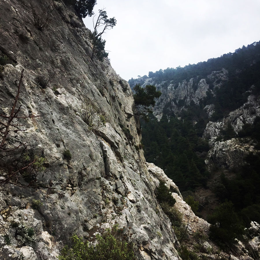 Parnitha_Arma-Via-Ferrata4583