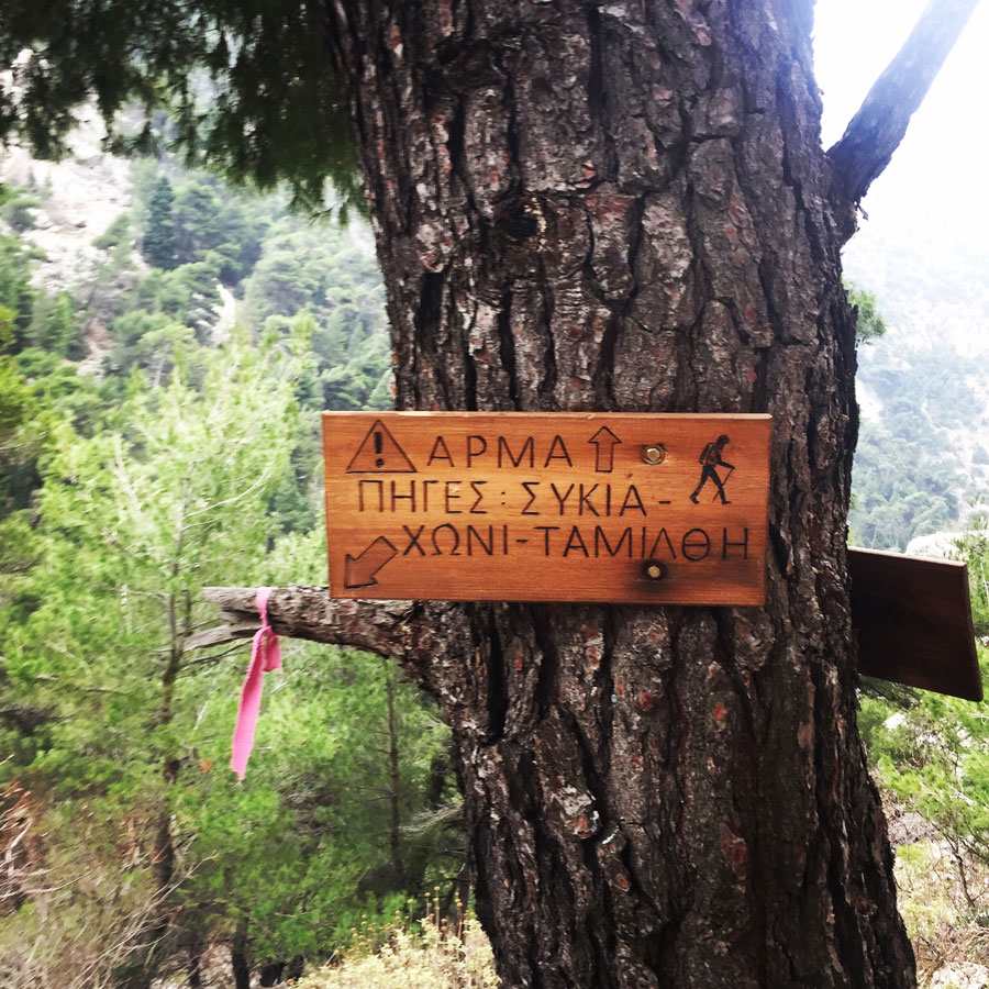 Parnitha_Arma-Via-Ferrata4584