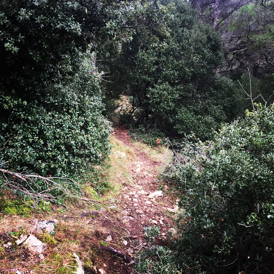 Parnitha_Arma-Via-Ferrata4585