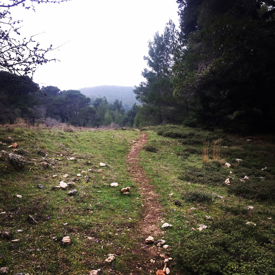 Parnitha_Arma-Via-Ferrata4586