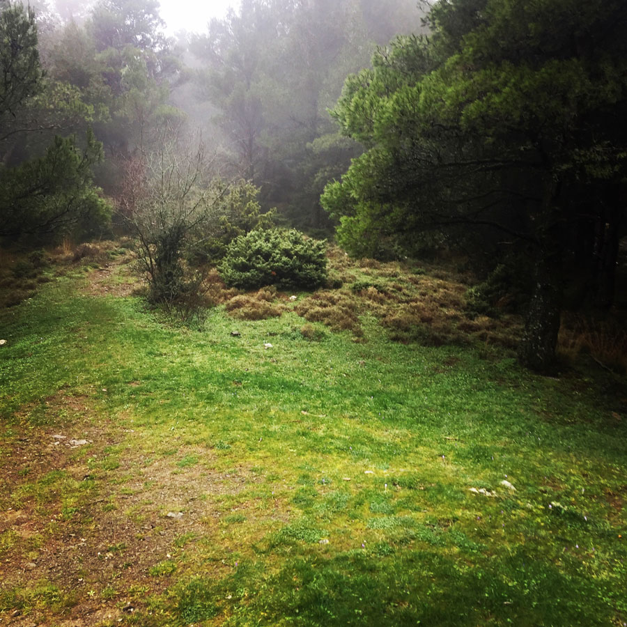 Parnitha_Arma-Via-Ferrata4587