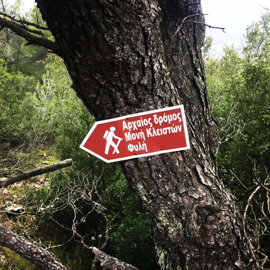 Parnitha_Arma-Via-Ferrata4588