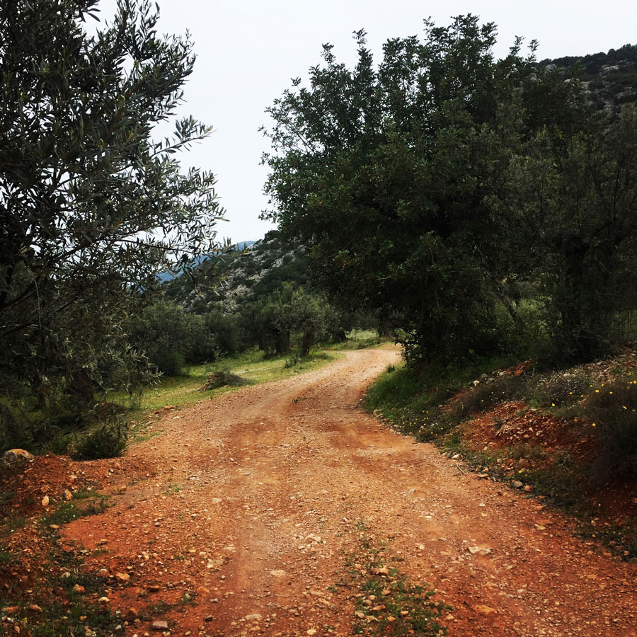 Ermioni_Katafyki_Katafiki_6470