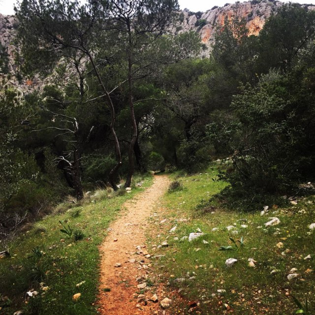 Ermioni_Katafyki_Katafiki_6478